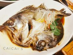 清蒸海鲈鱼-青年公社烤鸭(蜀山万象汇店)
