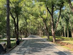 -东湖落雁景区