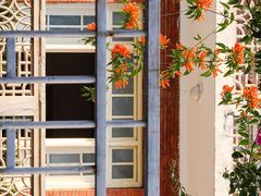 -溪岸路花鸟市场