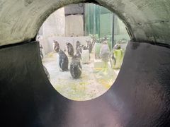 -大连圣亚海洋世界