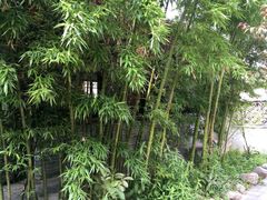 -王家大院