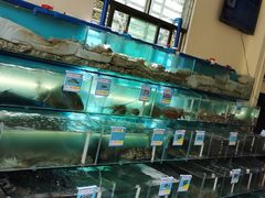 -琼大师东方烤乳猪(亚特兰蒂斯店)