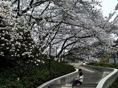 -杭州少年儿童公园