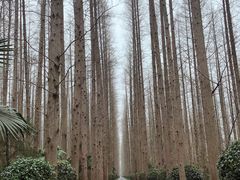 -上海怡沁园度假酒店