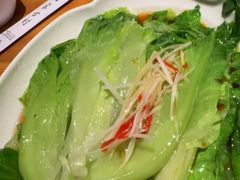 -老阿妈蒙古村·蒙古包·草原文化·歌舞表演(老君堂店)