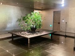 -隐溪茶馆(静安寺店)