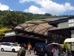 -槟城街头艺术街区