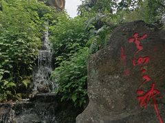 -海口火山口国家地质公园