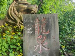 -龙泉洞(沙坪坝区)
