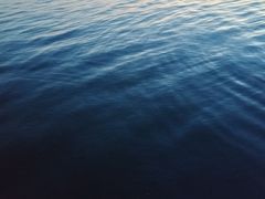 -漕湖湿地公园