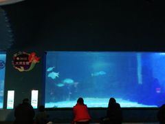 -常州海昌海洋探索馆