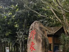 -野象谷景区