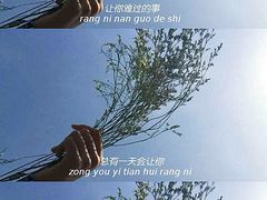 -大雁塔北广场音乐喷泉