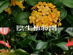 -广州珠江公园