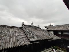 -南山植物园