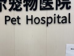 -艾贝尔宠物医院 ·中兽医·宠保定点(北门桥店)