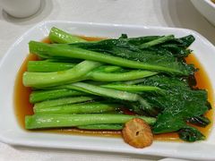 -金时代顺风大酒店(临港百联店)