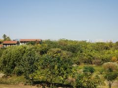 -盘龙城国家考古遗址公园