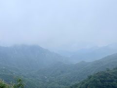 -大岭沟猕猴桃谷风景区