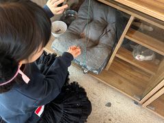 -台山新孖宝柴火黄鳝饭(三合温泉店)
