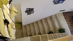 -酉嘉瑜伽YO+YOGA