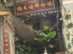 -西双版纳原始森林公园