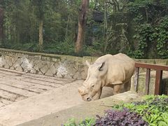 -杭州野生动物世界