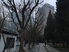 -团结湖公园