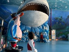 -多彩贵州城极地海洋世界