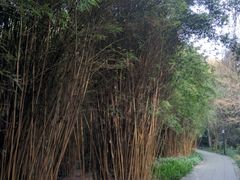 -三圣花乡旅游区