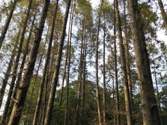 -同里国家湿地公园