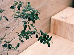 -Onirii Coffee(长乐路店)