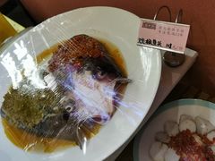 -鸽子侯·家宴·平价海鲜(市图书馆店)