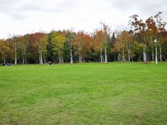 -上海海湾国家森林公园