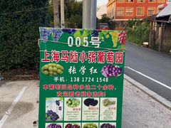 -马陆小张葡萄园农家乐