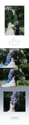 -琥珀婚礼策划AMBER WEDDING