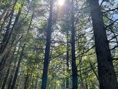 -白草畔自然风景区