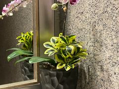 -上海虹桥西郊假日酒店