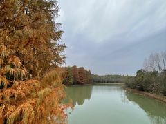 -上海海湾国家森林公园