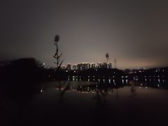 -重庆彩云湖湿地公园