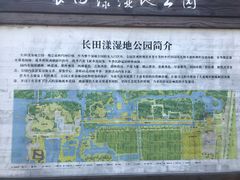 -长田漾湿地公园
