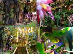 -正佳雨林生态植物园