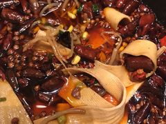 -雀蓝川菜(奥体广场店)