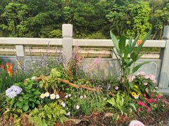 -深圳国际园林花卉博览园