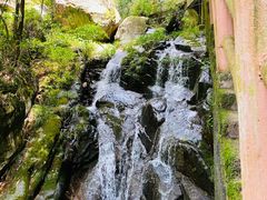 -藏龙百瀑风景区