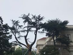 -中国福利会少年宫