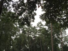 -保利石象湖景区