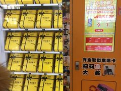 -沈阳HAI乐园