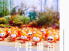 -上海长兴岛郊野公园