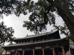 -晋祠公园